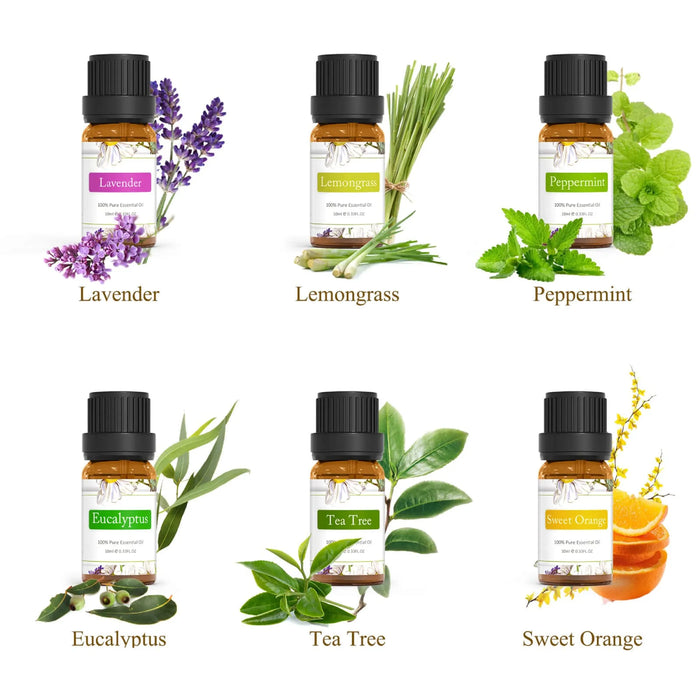 TOP6 Essential Oils Set