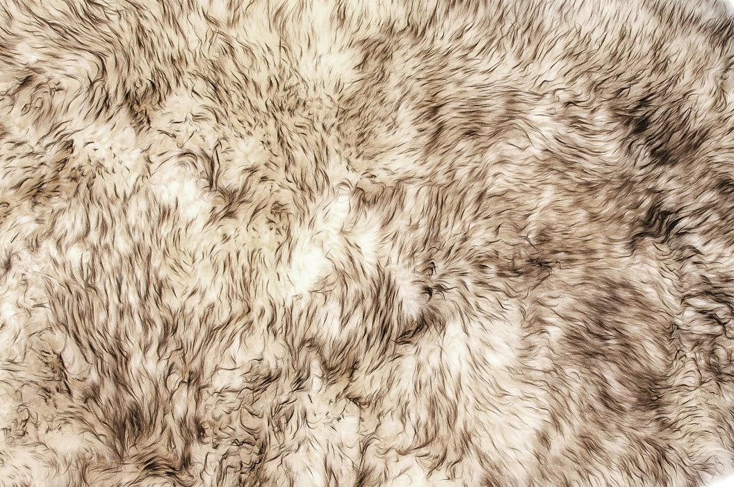 Gradient Chocolate Animal Print Area Rug