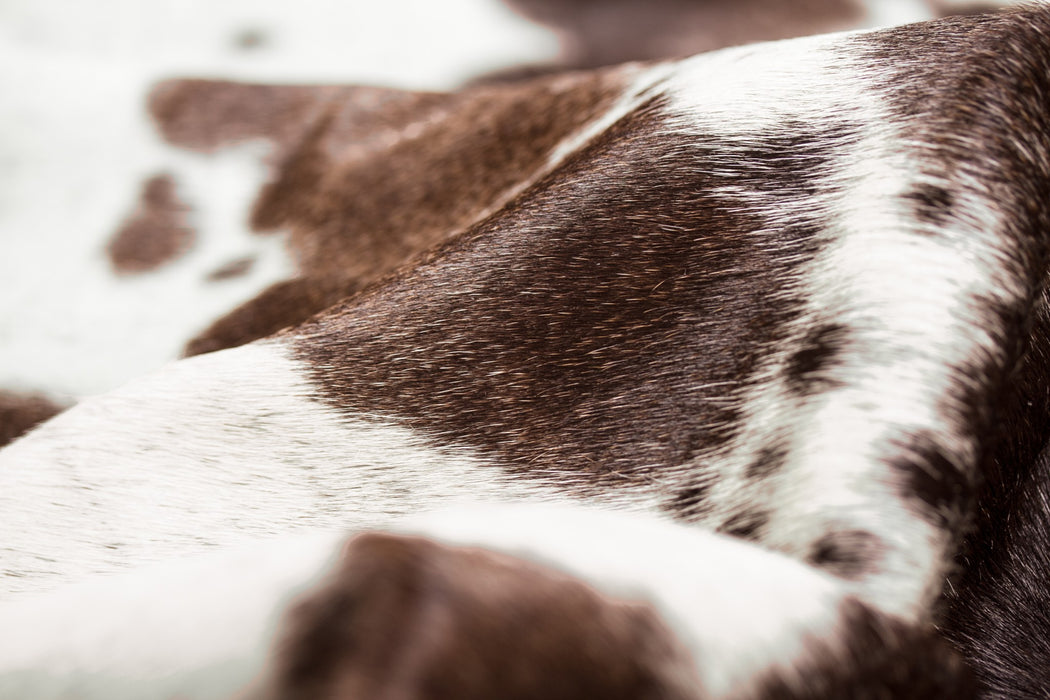 Brown And White Spotted Natural Cowhide Area Rug