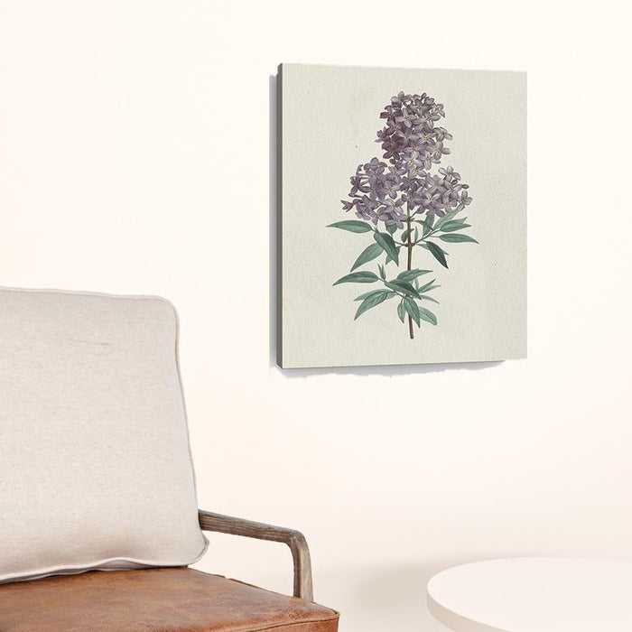 Singular Purple Blossom Branch Unframed Print Wall Art