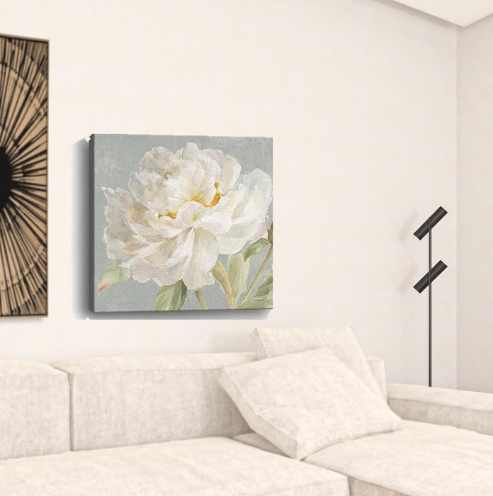 Angelic White Peony Flower Unframed Print Wall Art