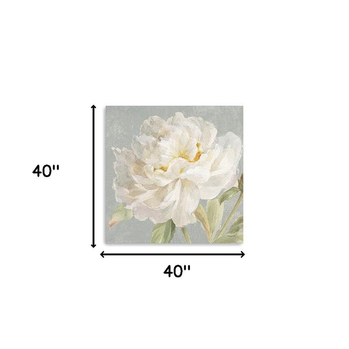 Angelic White Peony Flower Unframed Print Wall Art