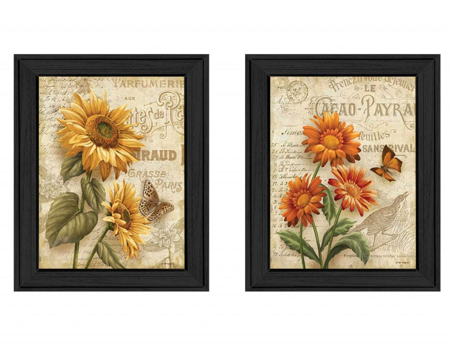 Set Of Two Flowers 2 Black Framed Print Wall Art