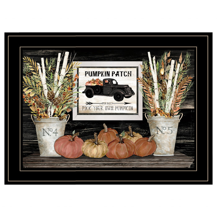 Pumpkin Patch Still Life 3 Black Framed Print Wall Art