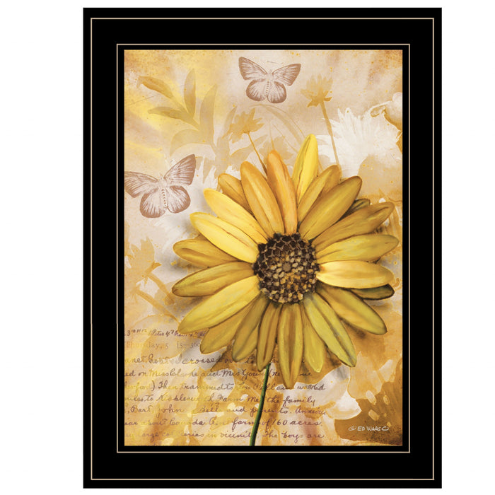 Flowers and Butterflies II 3 Black Framed Print Wall Art