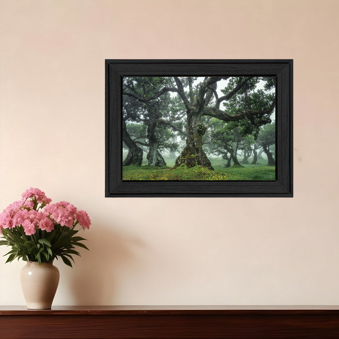 Enchanted Forest I 2 White Framed Print Wall Art