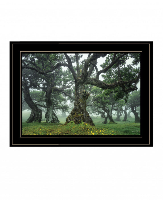 Enchanted Forest I 2 White Framed Print Wall Art