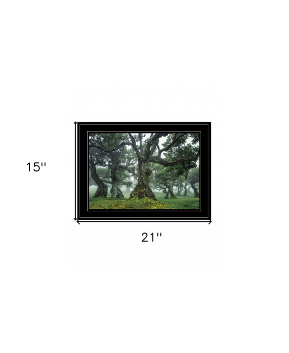 Enchanted Forest I 2 White Framed Print Wall Art