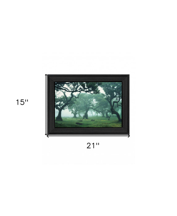 Enchanted Forest II 3 Black Framed Print Wall Art