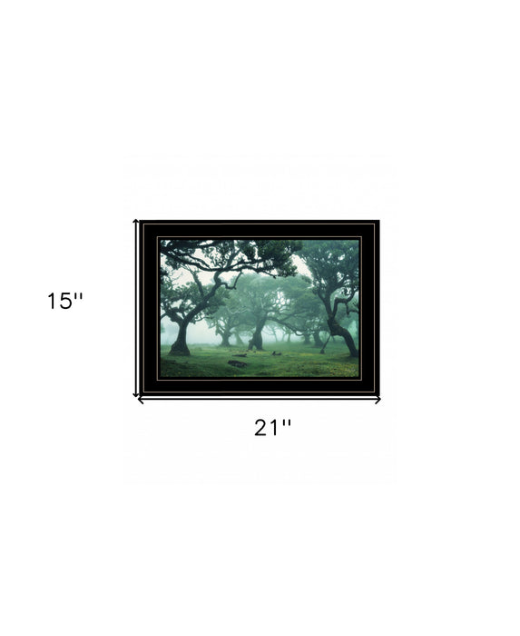 Enchanted Forest II 2 White Framed Print Wall Art