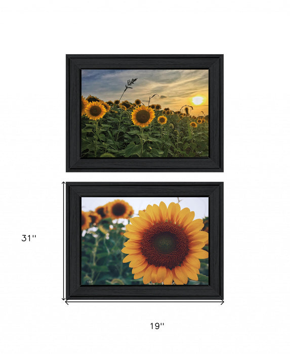 Set Of Two Midwest Living 2 Black Framed Print Wall Art