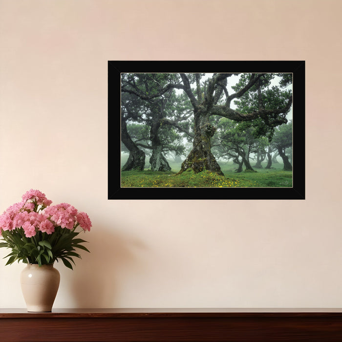 Enchanted Forest I 1 Black Framed Print Wall Art