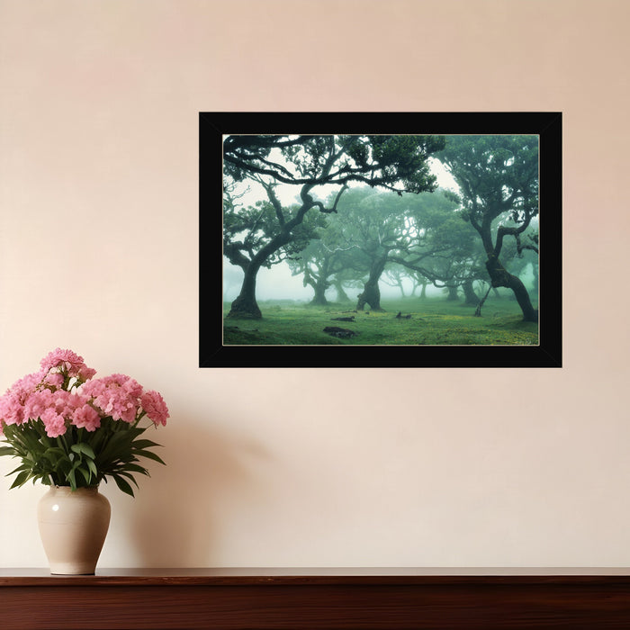 Enchanted Forest II 1 Black Framed Print Wall Art