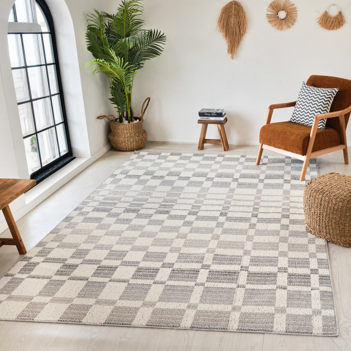 4' X 6' Gray and Beige Checkered Distressed Area Rug